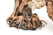 UNSHARDSCAPE UNS Bonsai 013 driftwood piece with intricate natural wood texture and organic shape, ideal for bonsai or decorative displays.