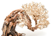UNSHARDSCAPE UNS Bonsai 013 driftwood piece with intricate, natural wood texture and organic shape for bonsai or decorative display