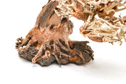 UNSHARDSCAPE UNS Bonsai 013 driftwood piece with natural textures and intricate details, ideal for bonsai or decorative displays.