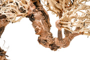 UNSHARDSCAPE UNS Bonsai 013 driftwood piece, natural textured wood for bonsai or decorative displays