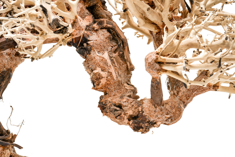 UNSHARDSCAPE UNS Bonsai 013 driftwood piece, natural textured wood for bonsai or decorative displays