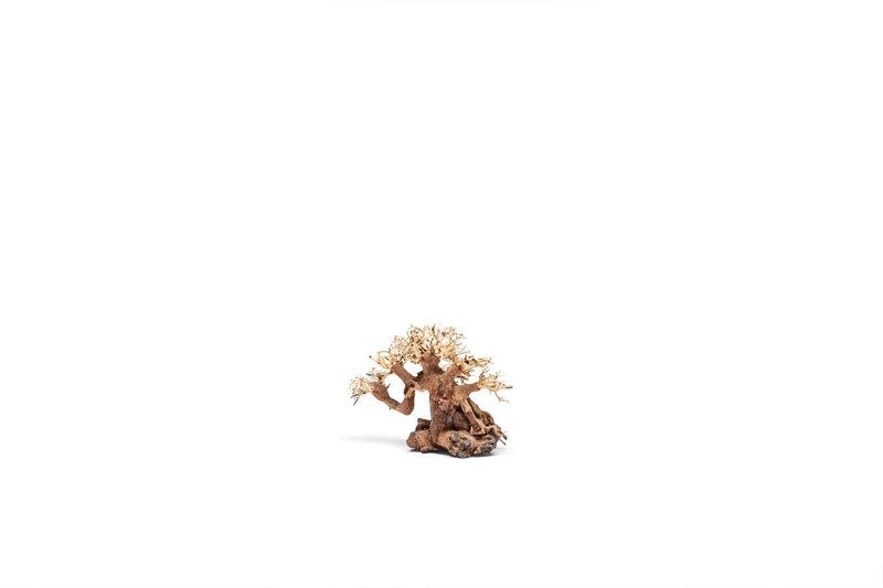 UNSHARDSCAPE UNS Bonsai 014 driftwood piece with intricate, natural wood details for bonsai or decorative display.