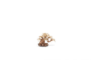 UNSHARDSCAPE UNS Bonsai 014 driftwood piece with intricate natural wood textures and organic shape for bonsai decor.