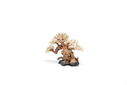 UNSHARDSCAPE UNS Bonsai 014 driftwood piece, natural wood sculpture with intricate grain and organic shape for bonsai displays