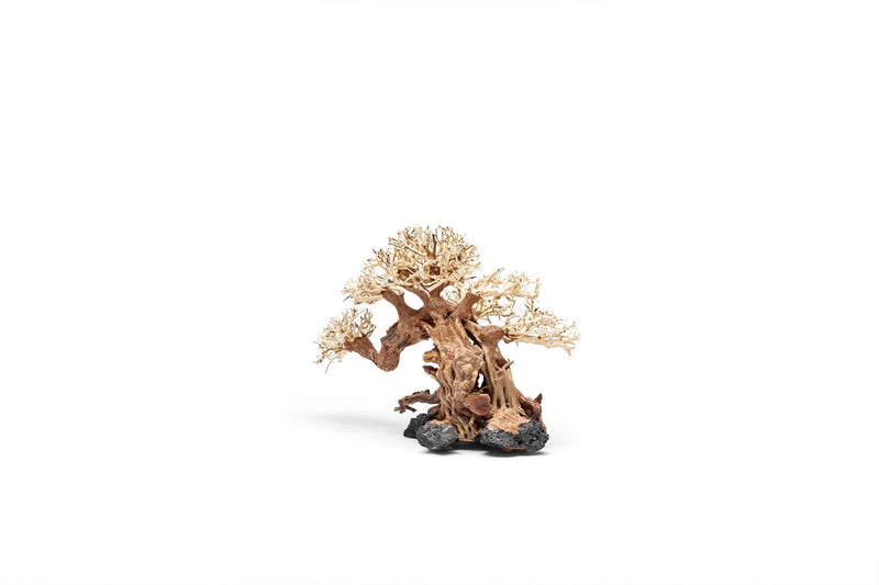 UNSHARDSCAPE UNS Bonsai 014 driftwood piece, natural wood sculpture with intricate grain and organic shape for bonsai displays