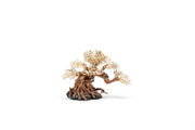 UNSHARDSCAPE UNS Bonsai 014 driftwood piece, natural wood sculpture for bonsai or decorative display on a neutral background