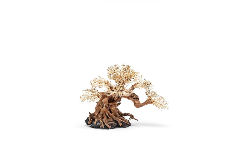 UNSHARDSCAPE UNS Bonsai 014 driftwood piece, natural wood sculpture for bonsai or decorative display on a neutral background