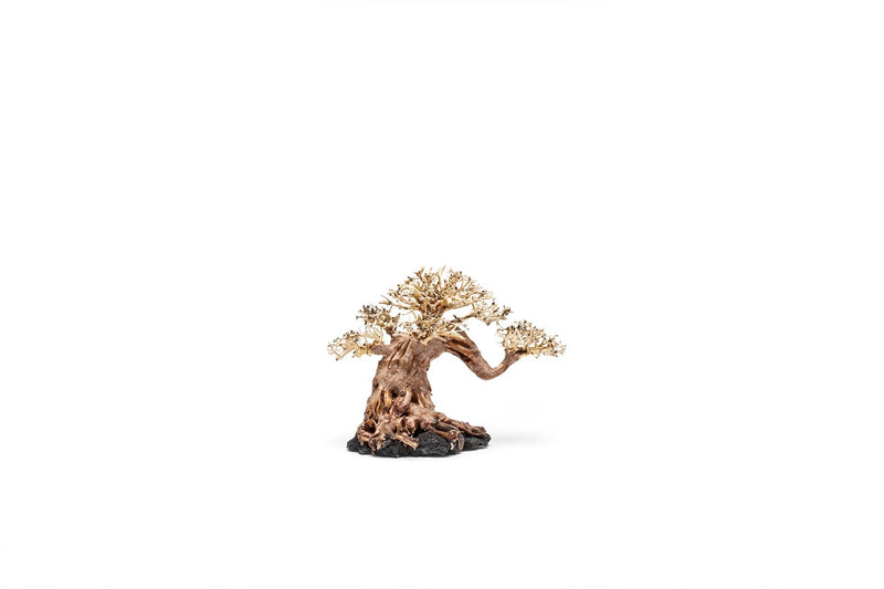 UNSHARDSCAPE UNS Bonsai 014 driftwood piece with unique natural shape for bonsai or decorative display.