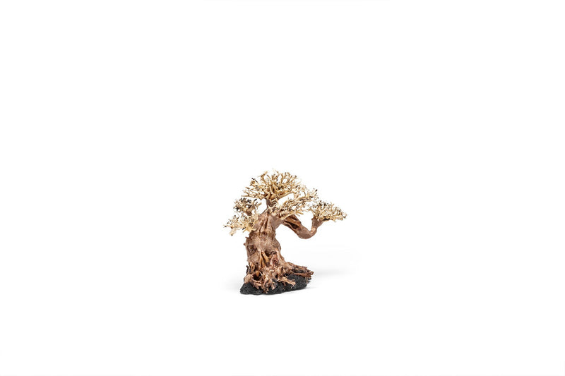UNSHARDSCAPE UNS Bonsai 014 driftwood natural wood piece with intricate grain and organic shape, ideal for bonsai or decorative displays.