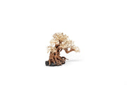 UNSHARDSCAPE UNS Bonsai 014 driftwood piece with intricate natural wood grain and organic shape for bonsai or decorative display