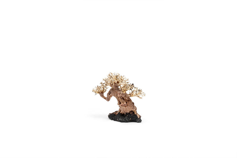 UNSHARDSCAPE UNS Bonsai 014 driftwood piece with twisted natural wood texture for bonsai or decorative display