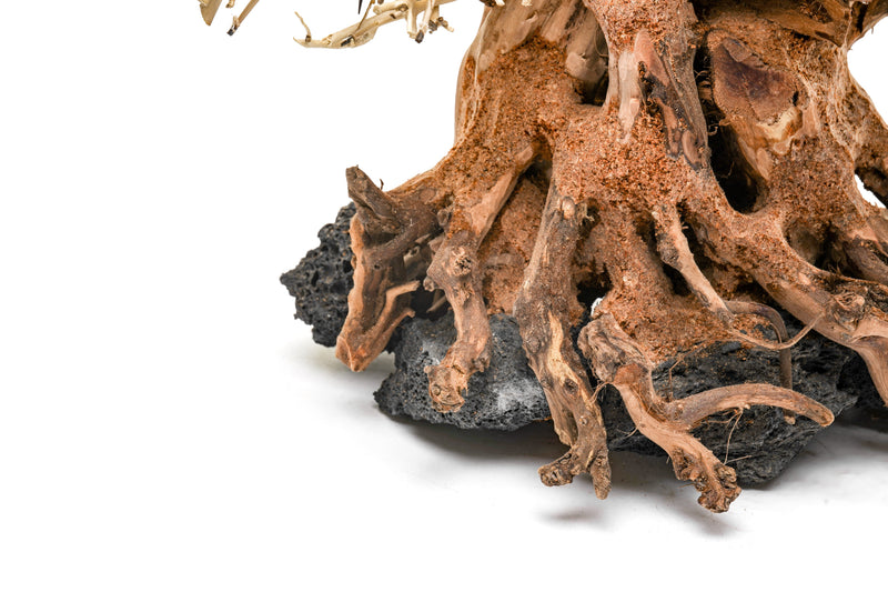 UNSHARDSCAPE UNS Bonsai 014 driftwood piece with intricate, natural wood details suitable for bonsai or decorative displays