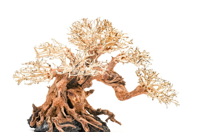 UNSHARDSCAPE UNS Bonsai 014 driftwood piece with intricate natural textures and organic shape for bonsai decoration.