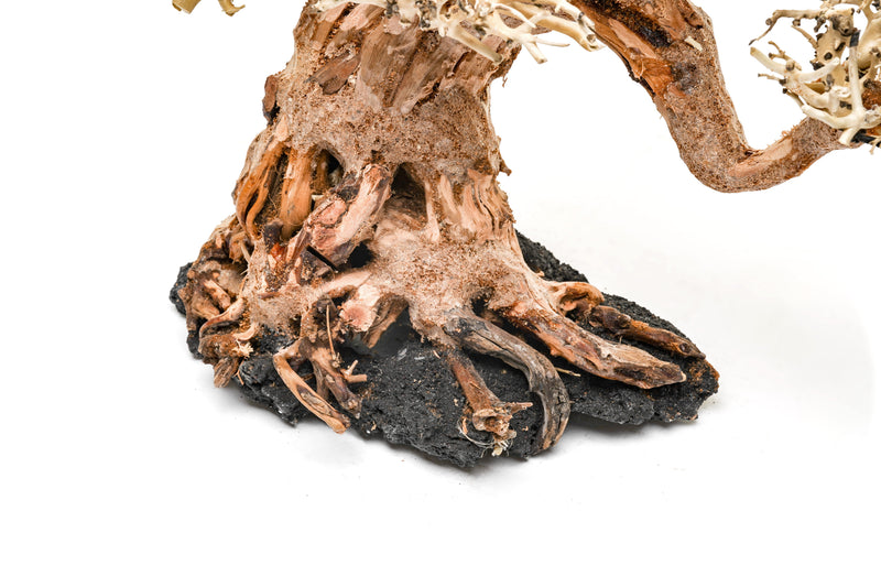 UNSHARDSCAPE UNS Bonsai 014 driftwood piece with intricate natural grain and organic shape for bonsai or decorative displays
