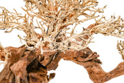 UNSHARDSCAPE UNS Bonsai 014 driftwood piece with intricate natural wood details for bonsai or decorative displays