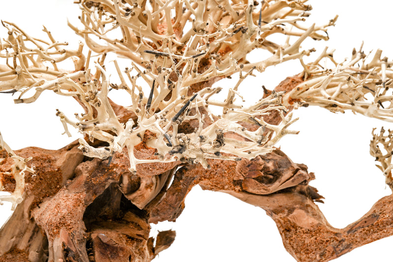 UNSHARDSCAPE UNS Bonsai 014 driftwood piece with intricate natural wood details for bonsai or decorative displays