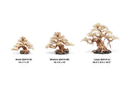 UNSHARDSCAPE UNS Bonsai 015 driftwood piece showing natural, twisted wood with intricate grain and organic shape for bonsai decoration.