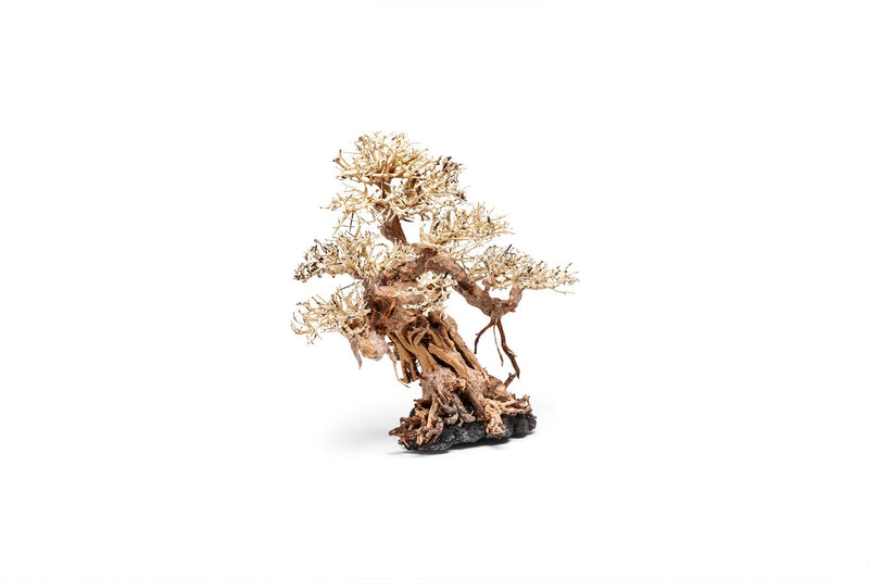 UNSHARDSCAPE UNS Bonsai 015 driftwood piece, natural wood sculpture for bonsai or decorative display on a white background