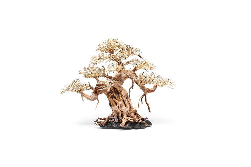 UNSHARDSCAPE UNS Bonsai 015 driftwood piece with intricate natural wood grain and unique shape for bonsai or decorative display