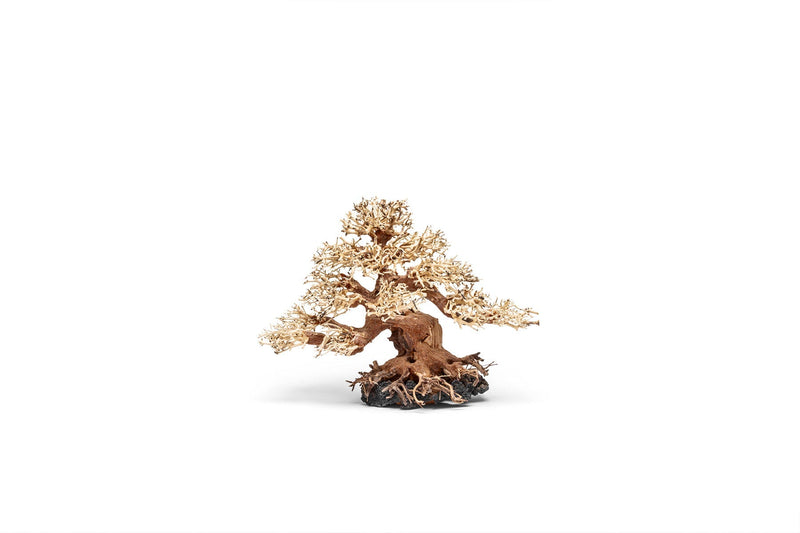 UNSHARDSCAPE UNS Bonsai 015 driftwood piece with intricate natural wood grain and unique shape for bonsai displays.