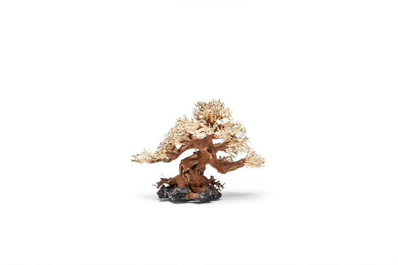 UNSHARDSCAPE UNS Bonsai 015 driftwood piece with intricate natural wood textures and organic shape, suitable for bonsai or decor.