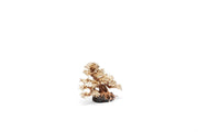 UNSHARDSCAPE UNS Bonsai 015 driftwood piece with natural, weathered appearance for bonsai or decorative display