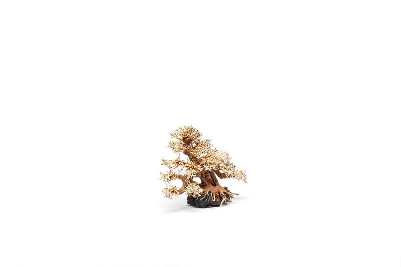 UNSHARDSCAPE UNS Bonsai 015 driftwood piece with natural, weathered appearance for bonsai or decorative display