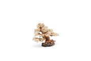 UNSHARDSCAPE UNS Bonsai 015 driftwood sculpture with intricate, natural wood details for bonsai or decorative display.