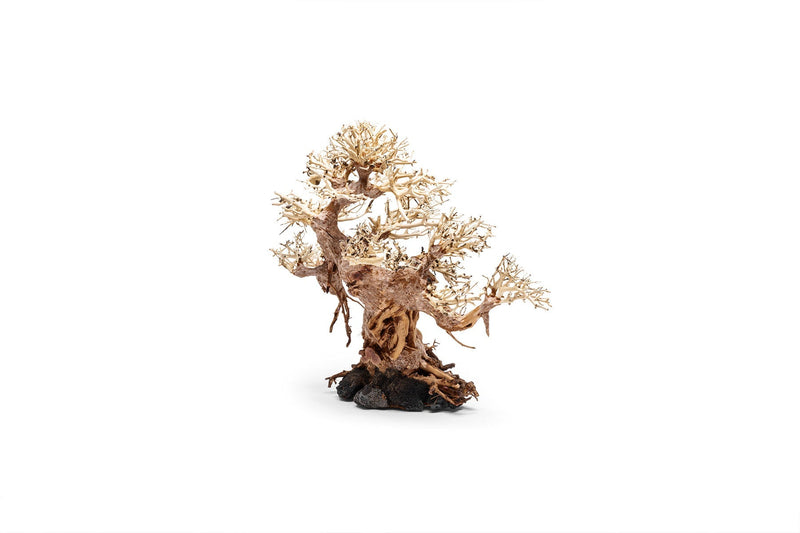 UNSHARDSCAPE UNS Bonsai 015 driftwood piece showcasing intricate natural wood textures for bonsai or decorative displays