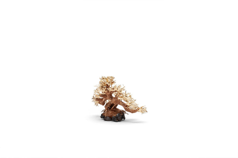 UNSHARDSCAPE UNS Bonsai 015 driftwood piece, natural wood sculpture with intricate textures and organic shape.