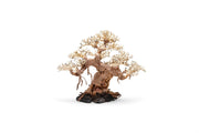 UNSHARDSCAPE UNS Bonsai 015 driftwood piece with intricate natural wood grain and organic shape for bonsai or decorative displays