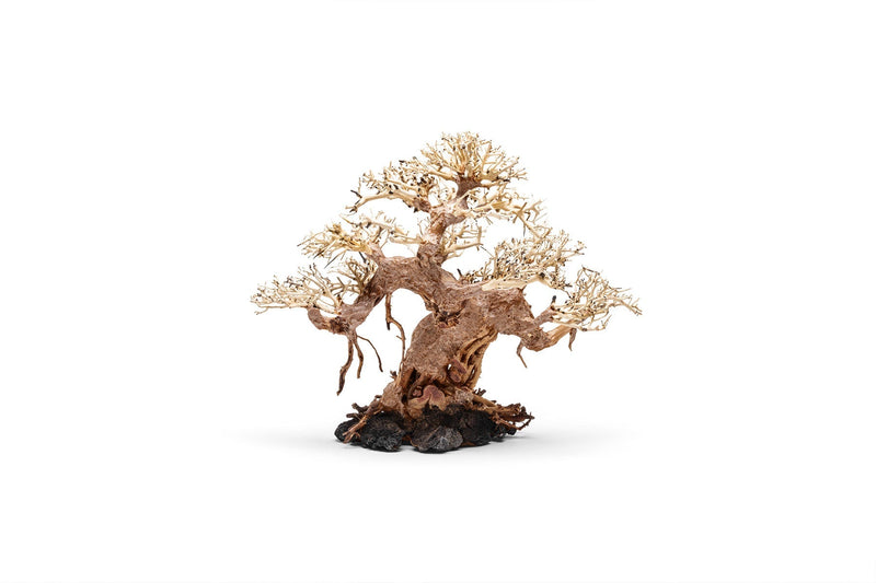 UNSHARDSCAPE UNS Bonsai 015 driftwood piece with intricate natural wood grain and organic shape for bonsai or decorative displays