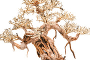 UNSHARDSCAPE UNS Bonsai 015 driftwood piece with intricate, natural wood details for bonsai or decorative use