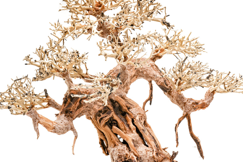 UNSHARDSCAPE UNS Bonsai 015 driftwood piece with intricate, natural wood details for bonsai or decorative use