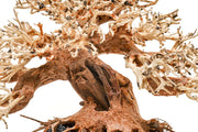 UNSHARDSCAPE UNS Bonsai 015 driftwood piece with intricate natural textures, ideal for bonsai or decorative displays.