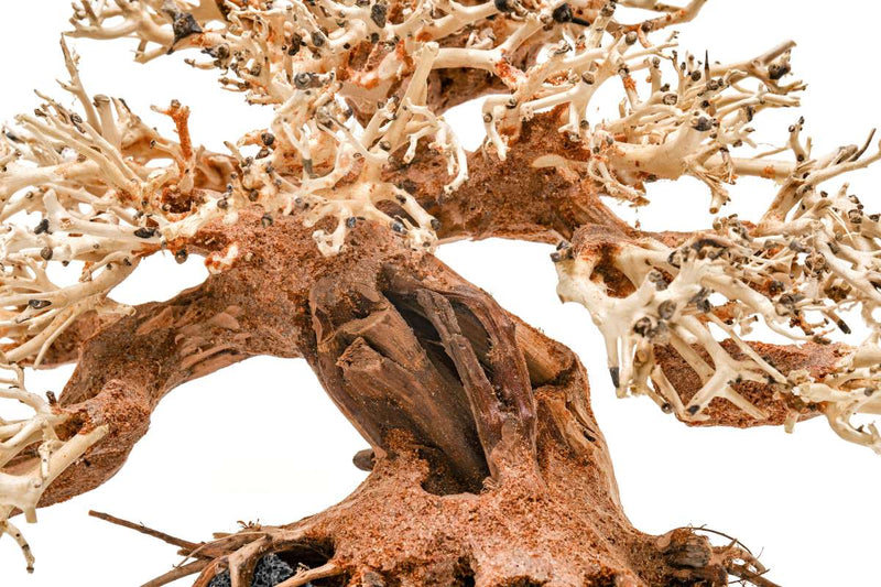 UNSHARDSCAPE UNS Bonsai 015 driftwood piece with intricate natural textures, ideal for bonsai or decorative displays.
