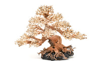 UNSHARDSCAPE UNS Bonsai 015 driftwood piece with intricate natural wood textures and organic shape for bonsai or decor.