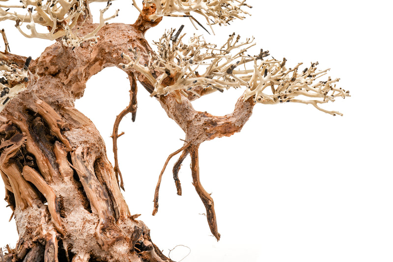 UNSHARDSCAPE UNS Bonsai 015 driftwood piece for aquarium or terrarium, natural wood with intricate grain detail.
