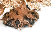 UNSHARDSCAPE UNS Bonsai 015 driftwood piece with intricate natural wood textures and organic shape for bonsai or decorative use