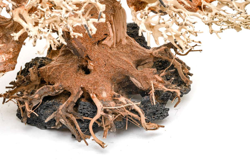 UNSHARDSCAPE UNS Bonsai 015 driftwood piece with intricate natural wood textures and organic shape for bonsai or decorative use