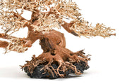 UNSHARDSCAPE UNS Bonsai 015 driftwood piece with intricate natural wood texture and organic shape for bonsai decoration