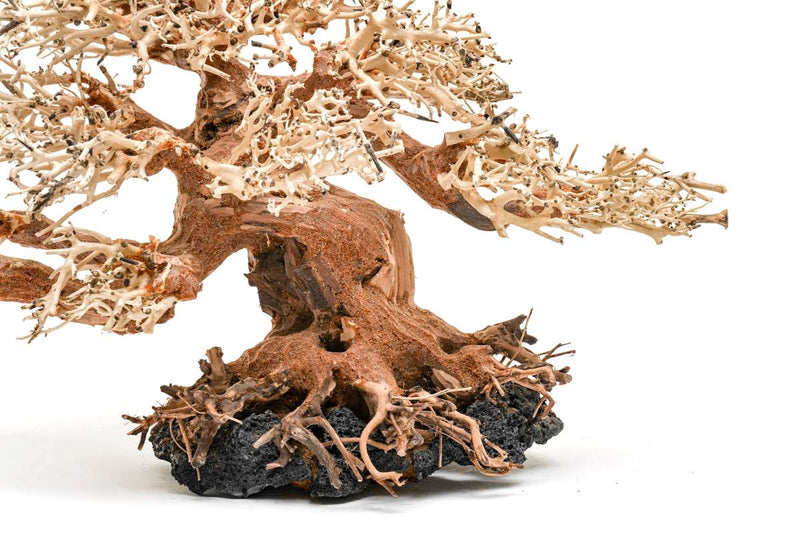 UNSHARDSCAPE UNS Bonsai 015 driftwood piece with intricate natural wood texture and organic shape for bonsai decoration