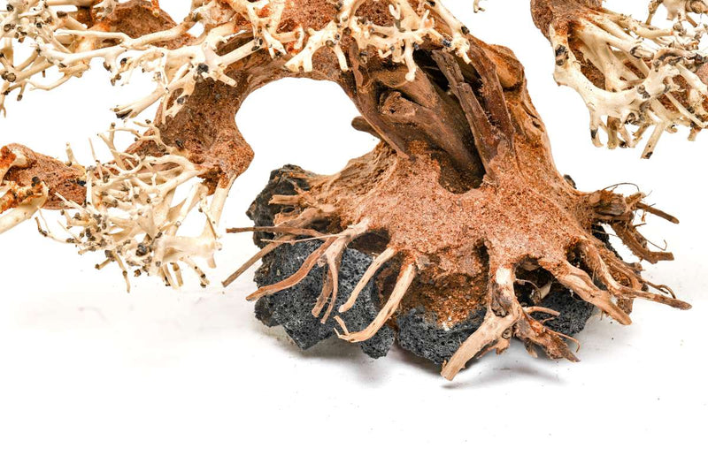 UNSHARDSCAPE UNS Bonsai 015 driftwood piece, natural wood sculpture with intricate textures on a neutral background.