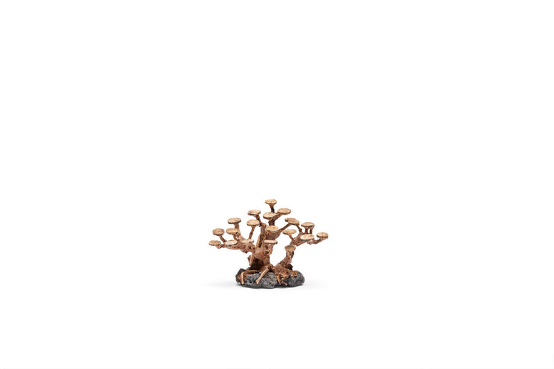 UNSHARDSCAPE UNS Bonsai 016 driftwood piece with intricate natural wood textures and organic shape for bonsai decoration.