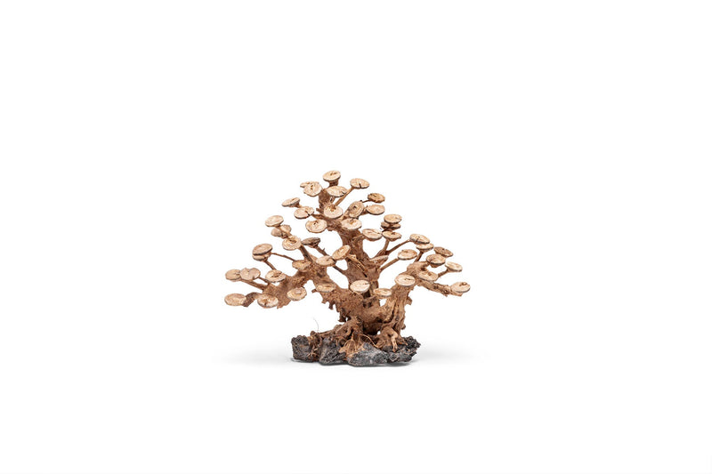 UNSHARDSCAPE UNS Bonsai 016 driftwood piece with intricate natural wood grain and unique shape for bonsai or decorative use