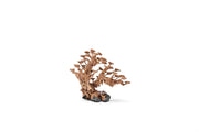 UNSHARDSCAPE UNS Bonsai 016 driftwood piece with intricate natural wood textures, suitable for bonsai or decorative displays.