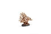 UNSHARDSCAPE UNS Bonsai 016 driftwood piece showcasing natural, organic wood with intricate textures for bonsai or decor displays.