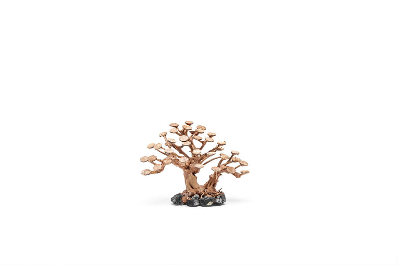 UNSHARDSCAPE UNS Bonsai 016 driftwood sculpture with intricate natural wood details on a plain background