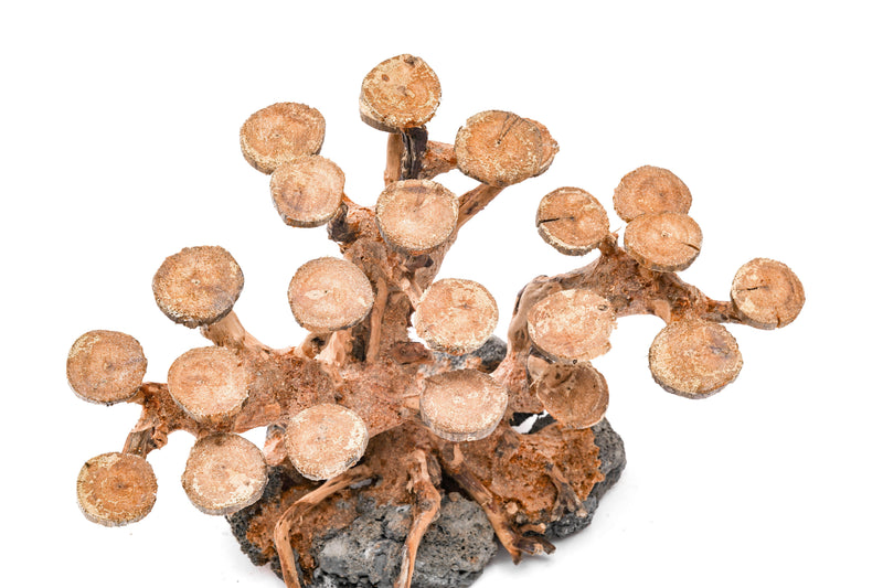 UNSHARDSCAPE UNS Bonsai 016 driftwood piece with natural, textured wood for bonsai or decorative display.