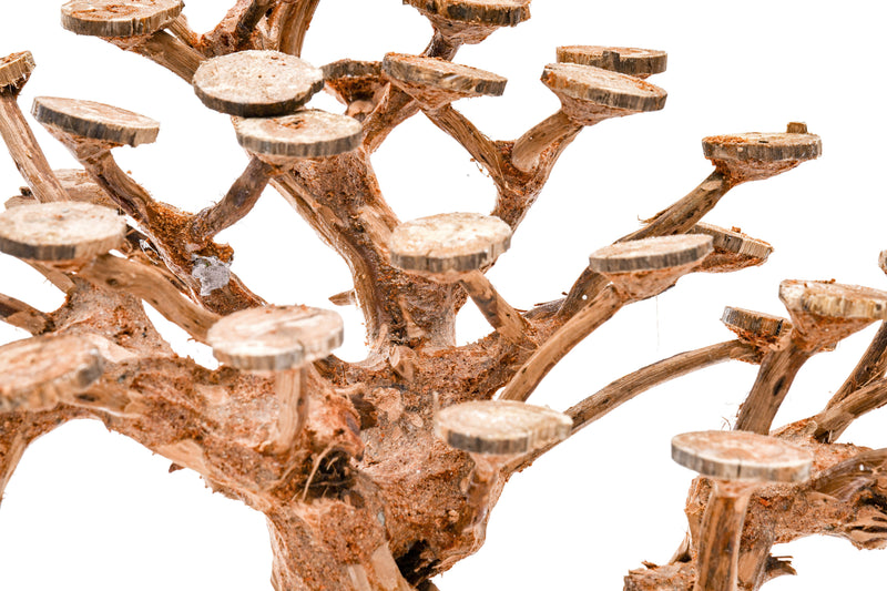 UNSHARDSCAPE UNS Bonsai 016 driftwood piece with natural, textured wood for bonsai or decorative arrangements.